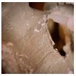 thumbnail image of the product